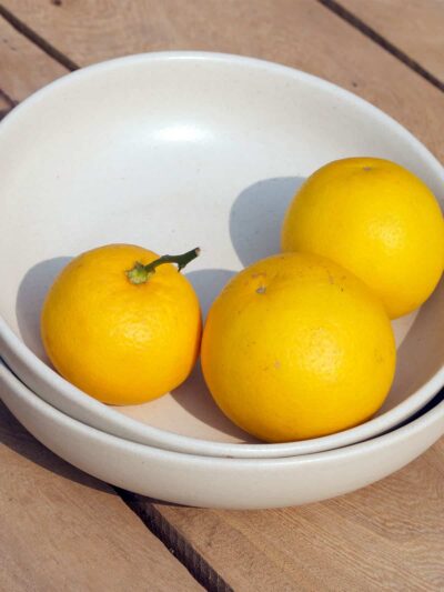 White Matte Shallow Bowls (Set of 2)